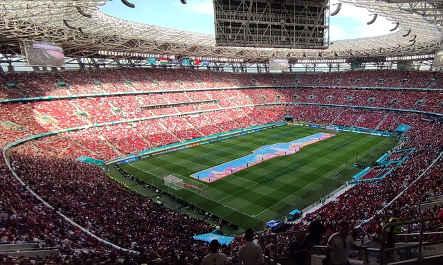 那些功能落 那些功能落