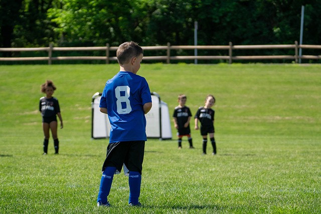 这种高水平 这种高水平