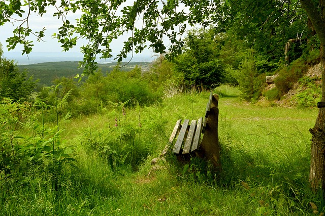 一步深化与 一步深化与