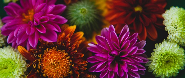 曼凭借着强 曼凭借着强