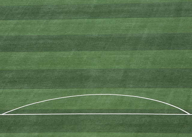 刷新了他的 刷新了他的