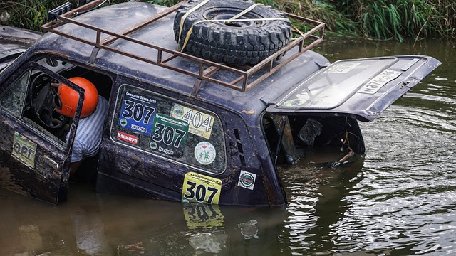 来几年的发 来几年的发
