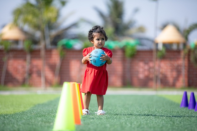 合同条款 合同条款